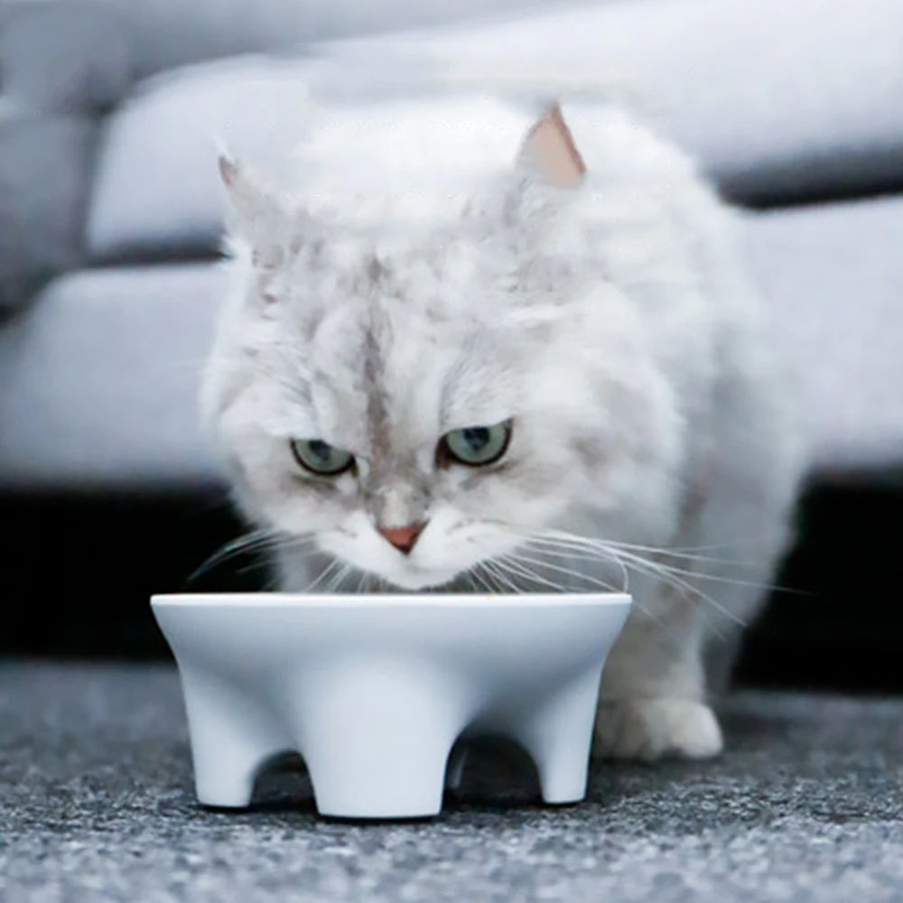 

Elevated Pet Bowls Pet Feeding Cat Water Bowl For Cats Food Pet Bowls For Dogs Melamine Pet Supplies