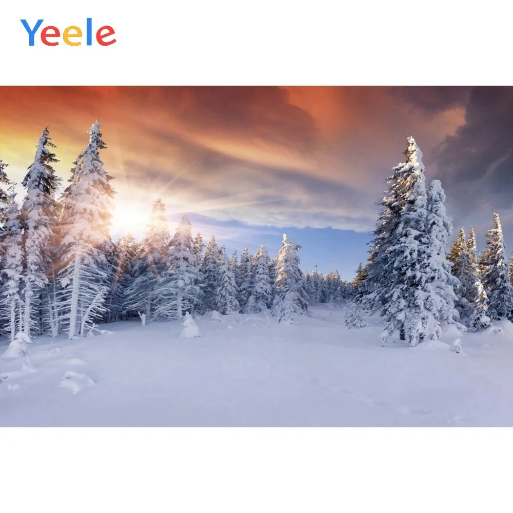 Yeele Winter Landscape Snow Pine Nice Sky Sunshine Photography Backdrop Personalized Photographic Background For Photo Studio