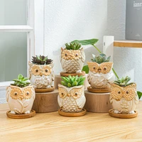 indoor desktop owl suit horticultural ceramic succulent flower pot animal succulent flower pot