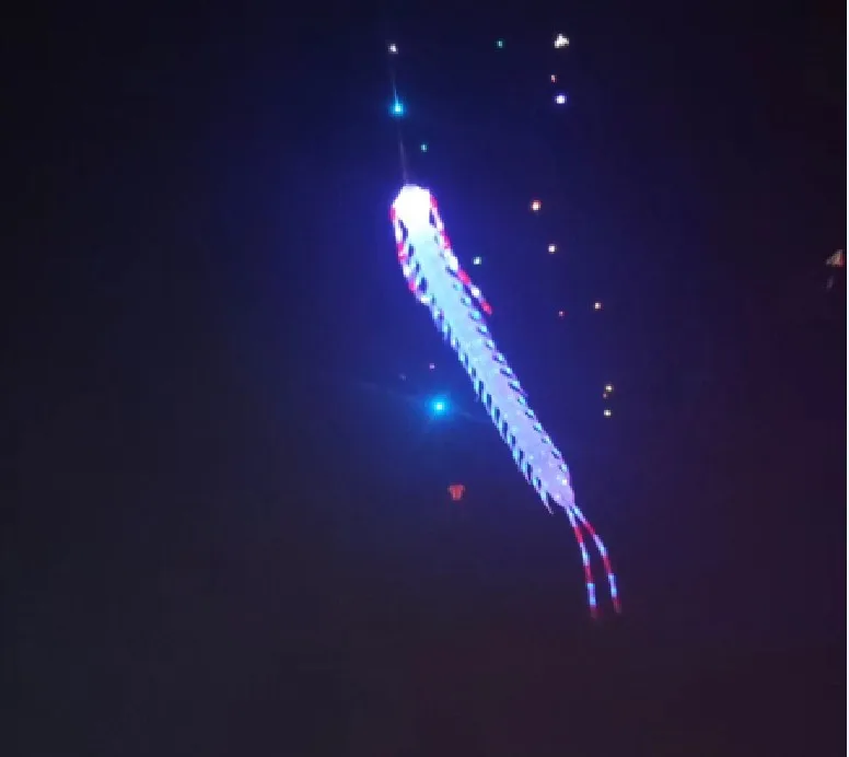 Воздушный змей в виде животного надувной светодиодный Ночной светильник