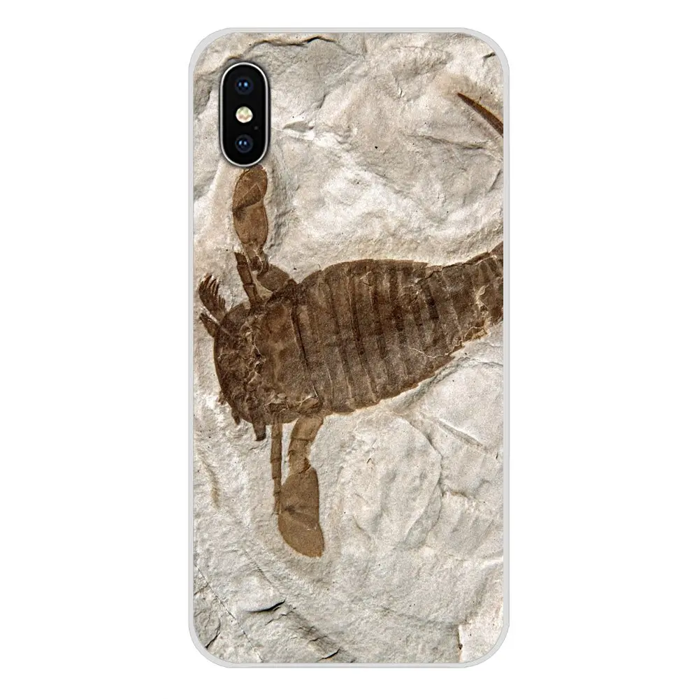 Биологические окаменелости растения динозавра рыбы для Oneplus 3 5 6 7 T Pro Nokia 2 8 9 230 1 Plus