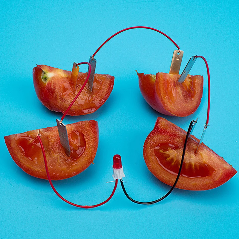 Bater&iacute;a de fruta casera para ni&ntilde;os, instrumento educativo para generar electricidad, ejercicio, habilidad de pensar-3