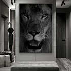 Большие размеры Африканские Дикие Львиное лицо художественные настенные картины художественные плакаты и принты черно-белые животные художественные фотографии