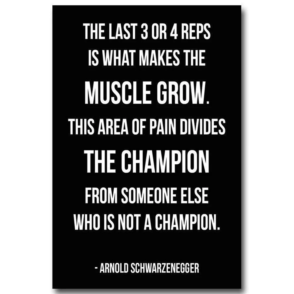 

073 ARNOLD SCHWARZENEGGER - Motivational Quote Wall Silk Cloth Poster Art Decoration Gift