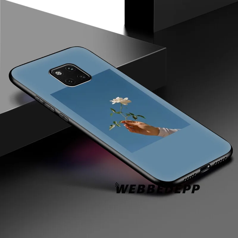 Голубой розовый мягкий чехол для huawei mate 30 P20 P30 P Smart Z Plus Lite Pro 2018 2019 Honor 20 9X |