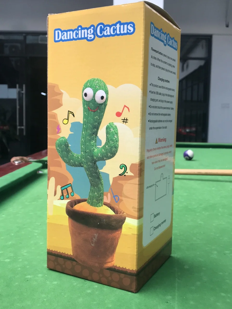 

Dancing Cactus Box