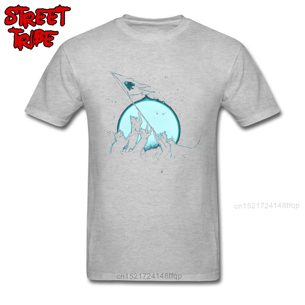 Футболка мужская с принтом ночной Луны и котов|Мужские футболки| |