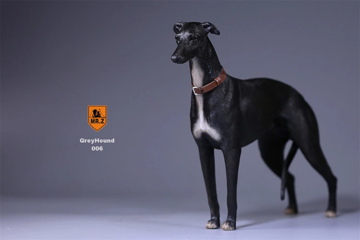 Mr.z 1/6 Greyhound Whippet Pet Dog Figure Animal Model Trinkets Desktop Decor Ornaments Toy for Children Adult Kids GK Xmas Gift |