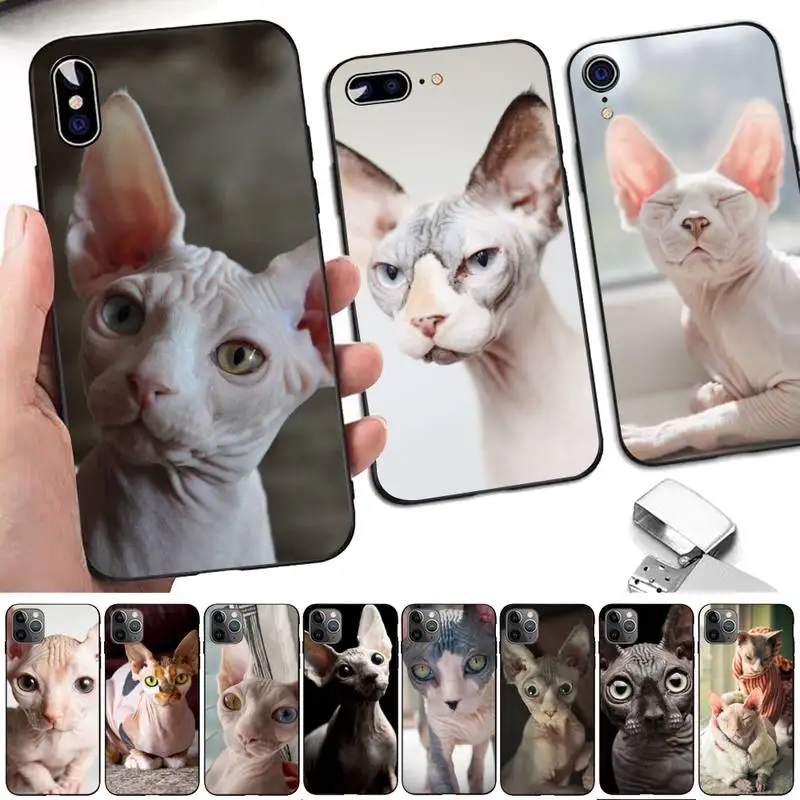 

Canadian Hairless Beerus cat sphynx cat Phone Case for iphone 13 8 7 6 6S Plus X 5S SE 2020 XR 11 12mini pro XS MAX