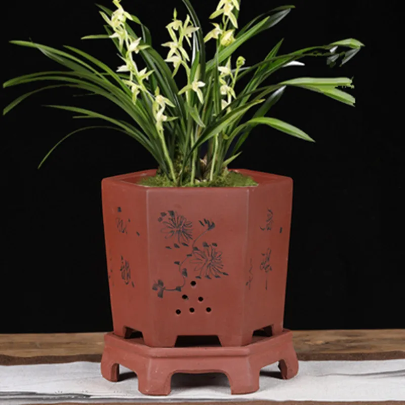 Фиолетовый цветок Clivia горшок орхидеи специальный Кливия дышащие высокого класса