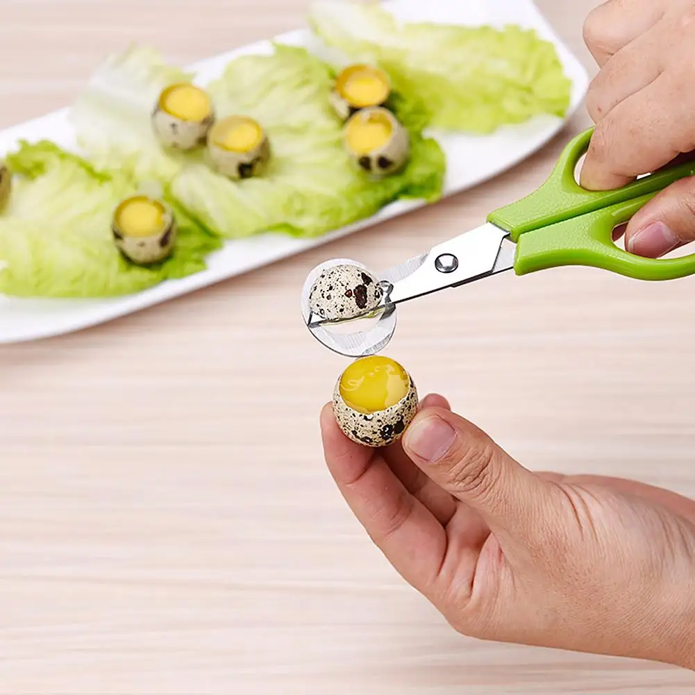 Stainless Steel Cut Whisk Egg Clipper Eggshell Cutter Apparatus Pigeon Quail Scissor Bird Opener Kitchen Tool | Дом и сад