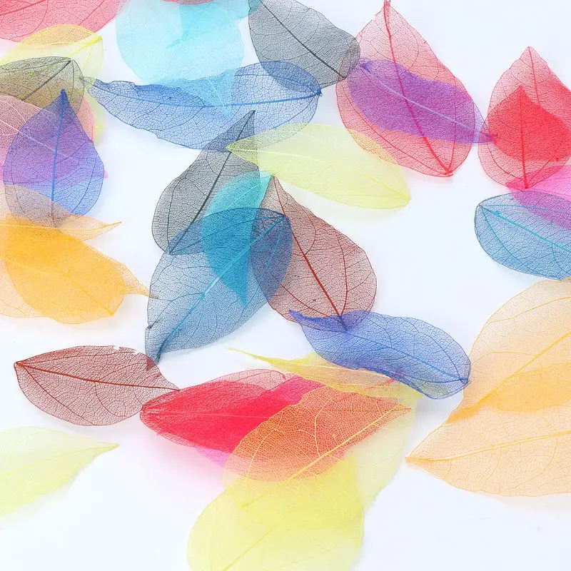 

50 Pcs Mixed Color Natural Skeleton Leaves Pressed Flower for Jewelry Making
