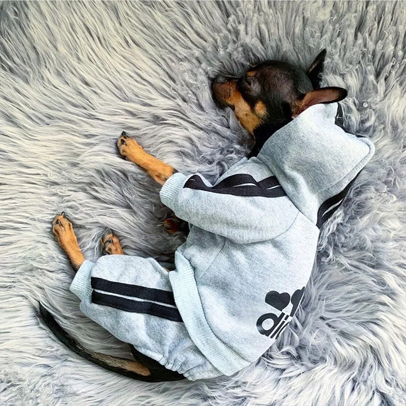 Фото Одежда для домашних животных французский бульдог щенок строительный комбинезон