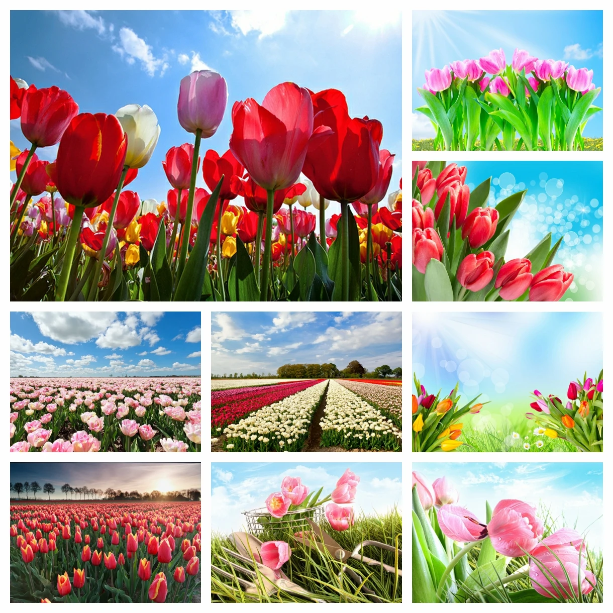 

Netherlands Garden Tulip Flower Sea Diamond Painting Full Drill Cross Stitch Kits Rhinestone DIY Diamond Embroidery Home Decor
