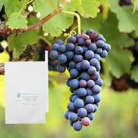 100pcs grape paper protection grow bags for fruit vegetable grapes waterproof pest control anti bird outdoor planting supplies