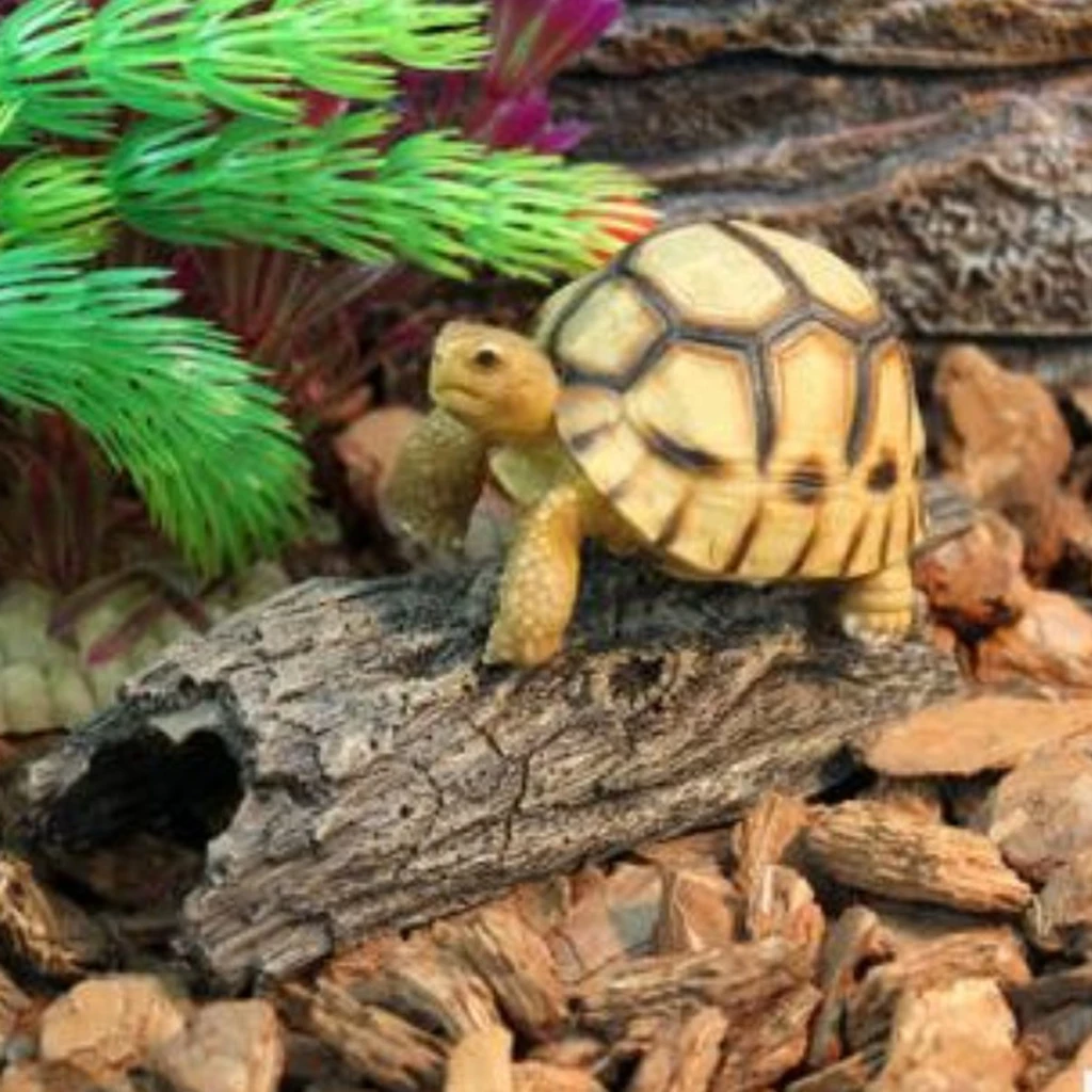 Аквариумная раковина для аквариума дерева плавающая пещера вивария рептилий