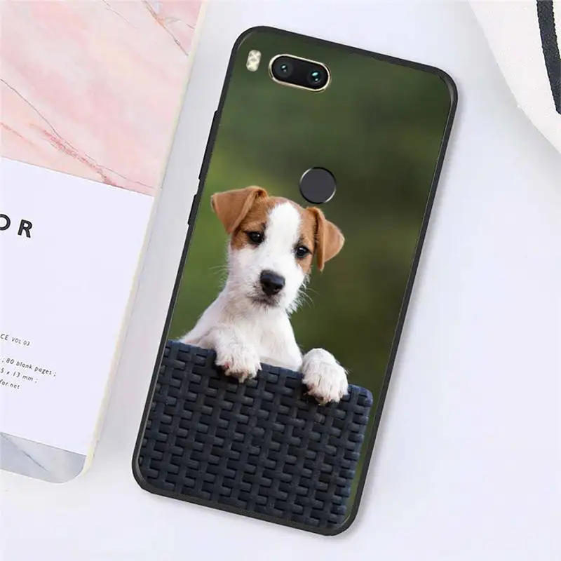 

Jack Russell Terrier cute dog animal Phone Cases For Xiaomi Redmi note 7 8 9 t k30 max3 9 s 10 pro lite funda coque