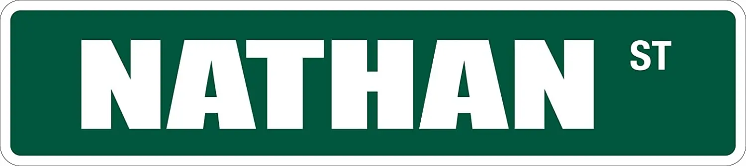 

StickerPirate Nathan St 4" x 8" Novelty Metal Street Sign Aluminum SS 2710