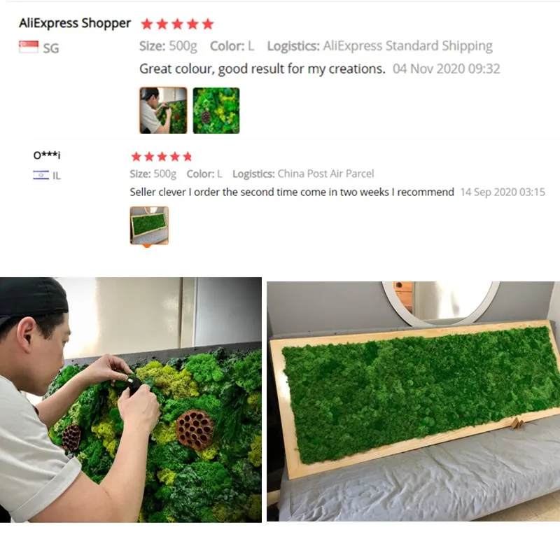 1000 г консервированный Северный мох вечная жизнь Натуральный Мох растения