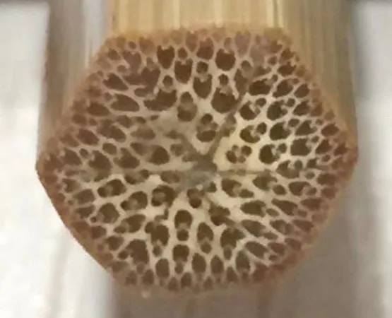 （Special offer）Bamboo blank rod 55”- 1.40m (casting /spinning) dedicated | Спорт и развлечения