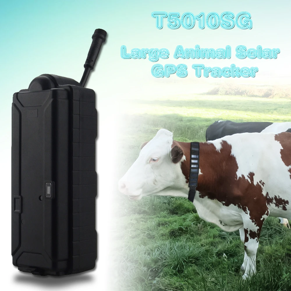 GPS трекер на солнечной батарее T5010SG 3G GSM для лошадей/коров/крупного рогатого