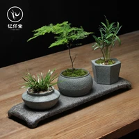 creative flower pot pot asparagus fern money small zen stone landscape set assemblage zone tray