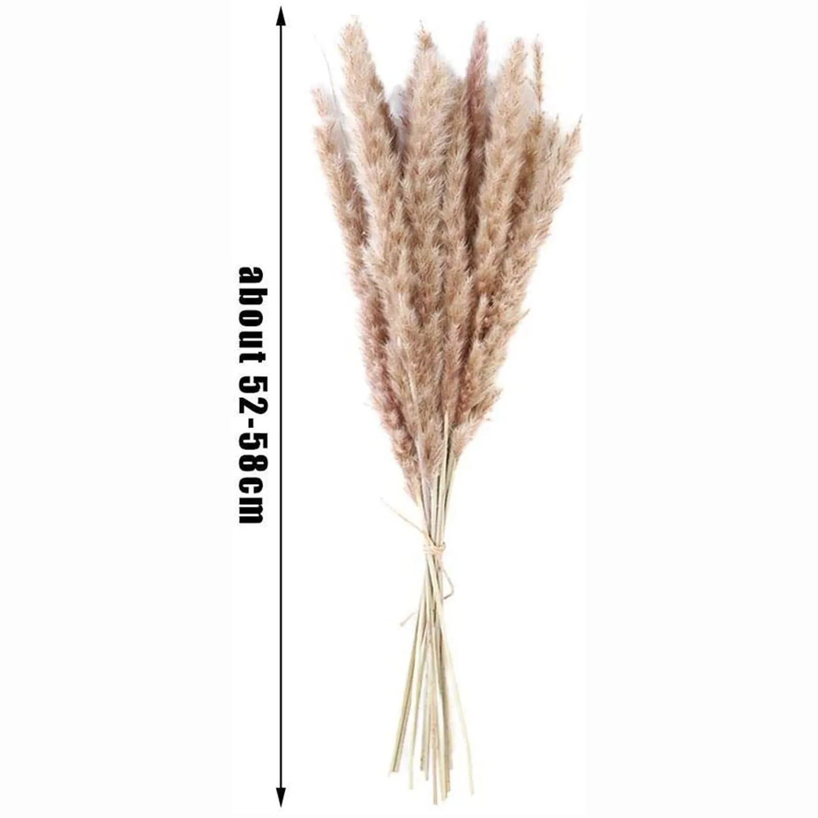

50cm Bulrush Natural Dried Pampas Grass Phragmites Artificial Plants Wedding Dried Flower Bunch for Home Decor Fake Flowers