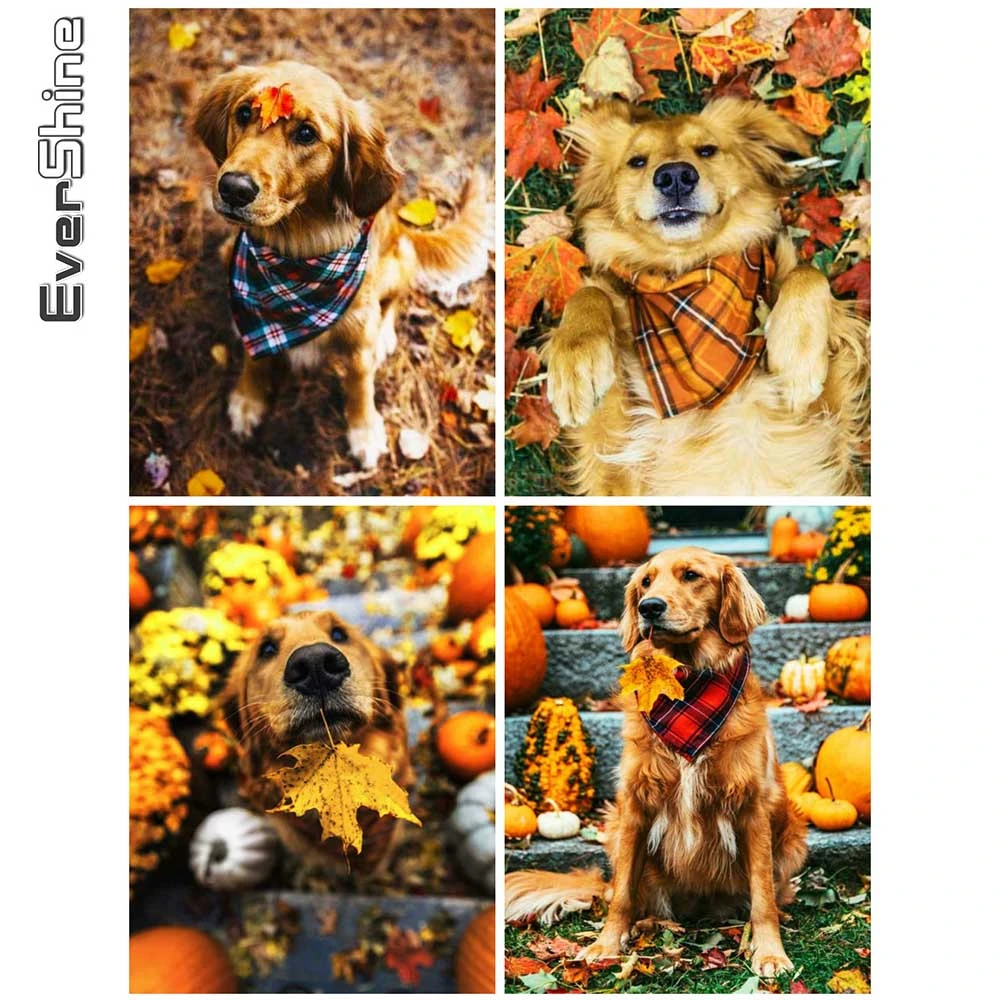 

Evershine 5D DIY Diamond Painting Dog Handmade Gift Diamond Embroidery Animal Mosaic Art Halloween Home Decorations