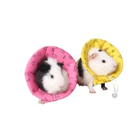 hamster my neighbor totoro protective cover guinea pig anti bite wound care ring mini pet collar eliza collar pet care products