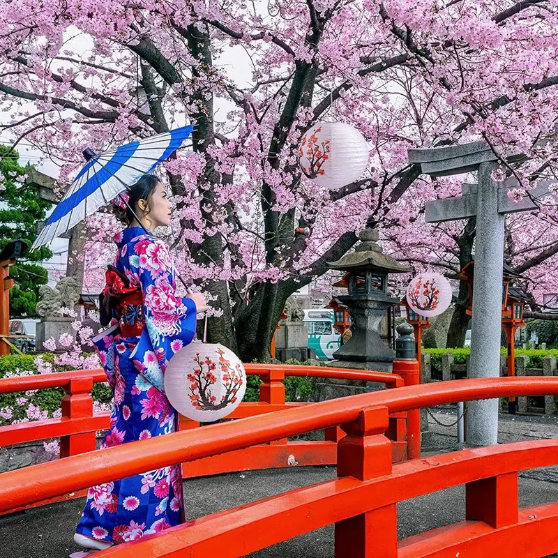 6 упаковок 12 дюймов красные цветы вишни бумажные фонарики белые круглые