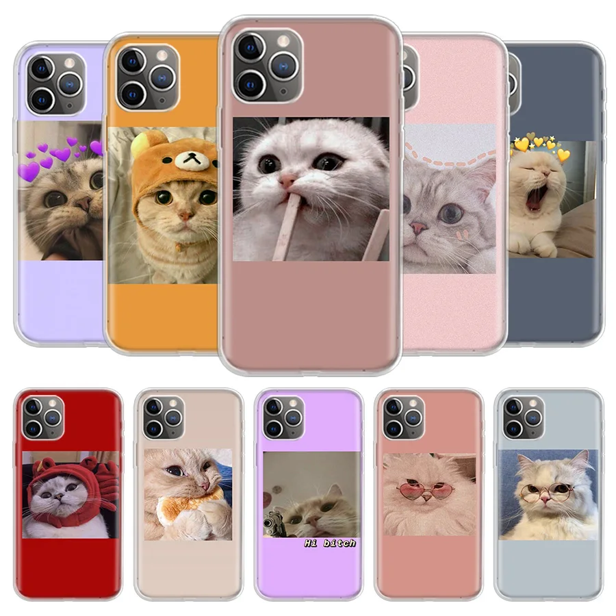 

Super Lovely Cat Kitten Cute Funny Cover Phone Case For iPhone 13 12 11 Pro 7 6 X 8 6S Plus XS MAX + XR Mini SE 5S Coque Shell
