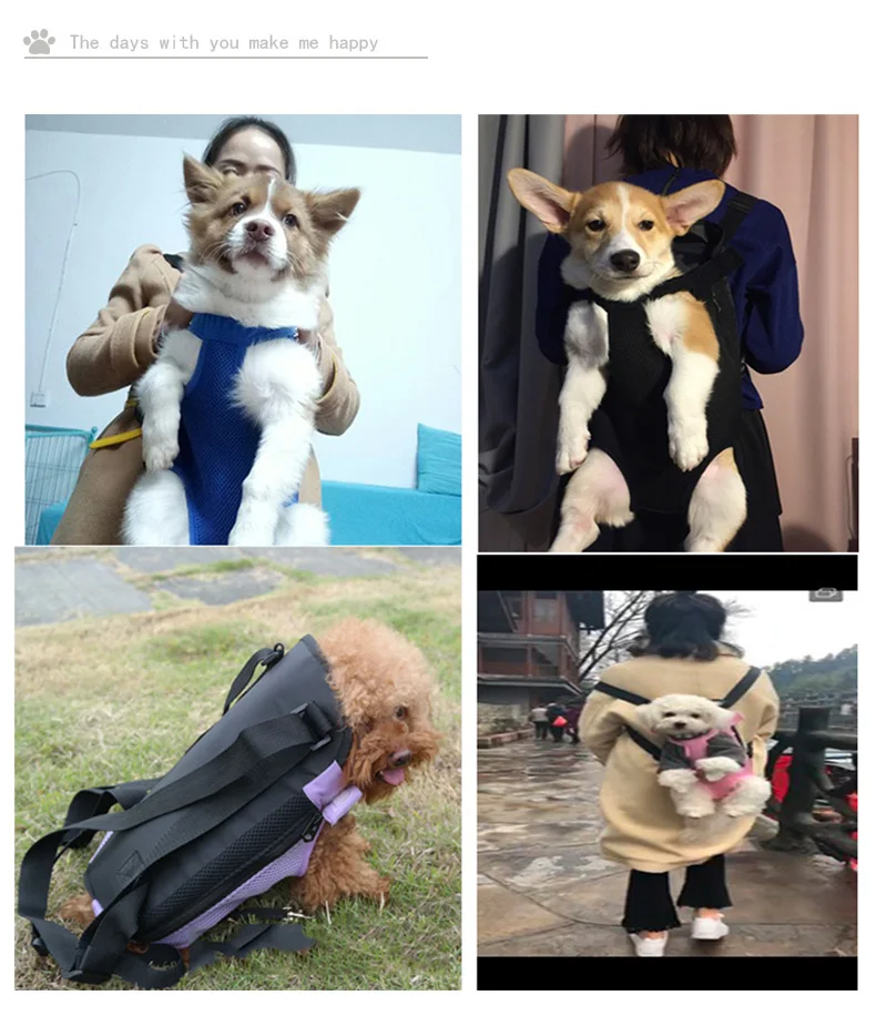 Новая мода Собака Кошка Щенок переноска Передняя открытый рюкзак сумка с милым