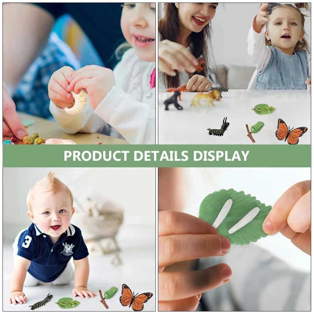 

2 Sets Insect Figurines Life Cycle Bee Butterflies Ornament Funny Kids Plaything