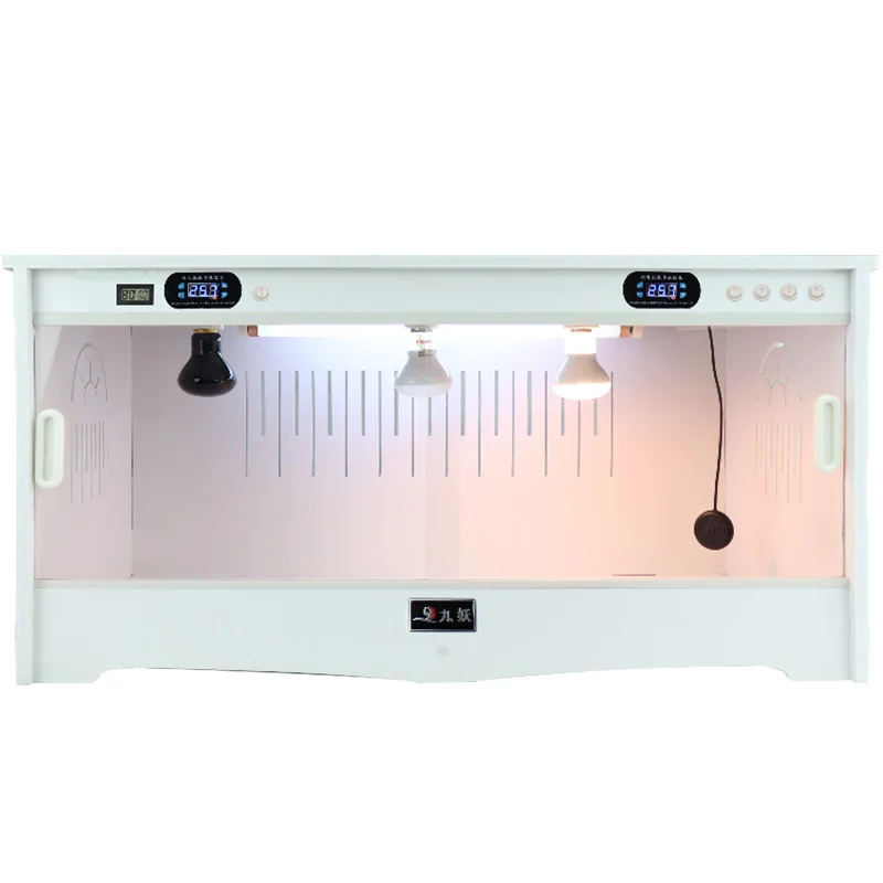 Ползающая Животное Черепаха обесцвечивание Дракон Ежик контроль температуры