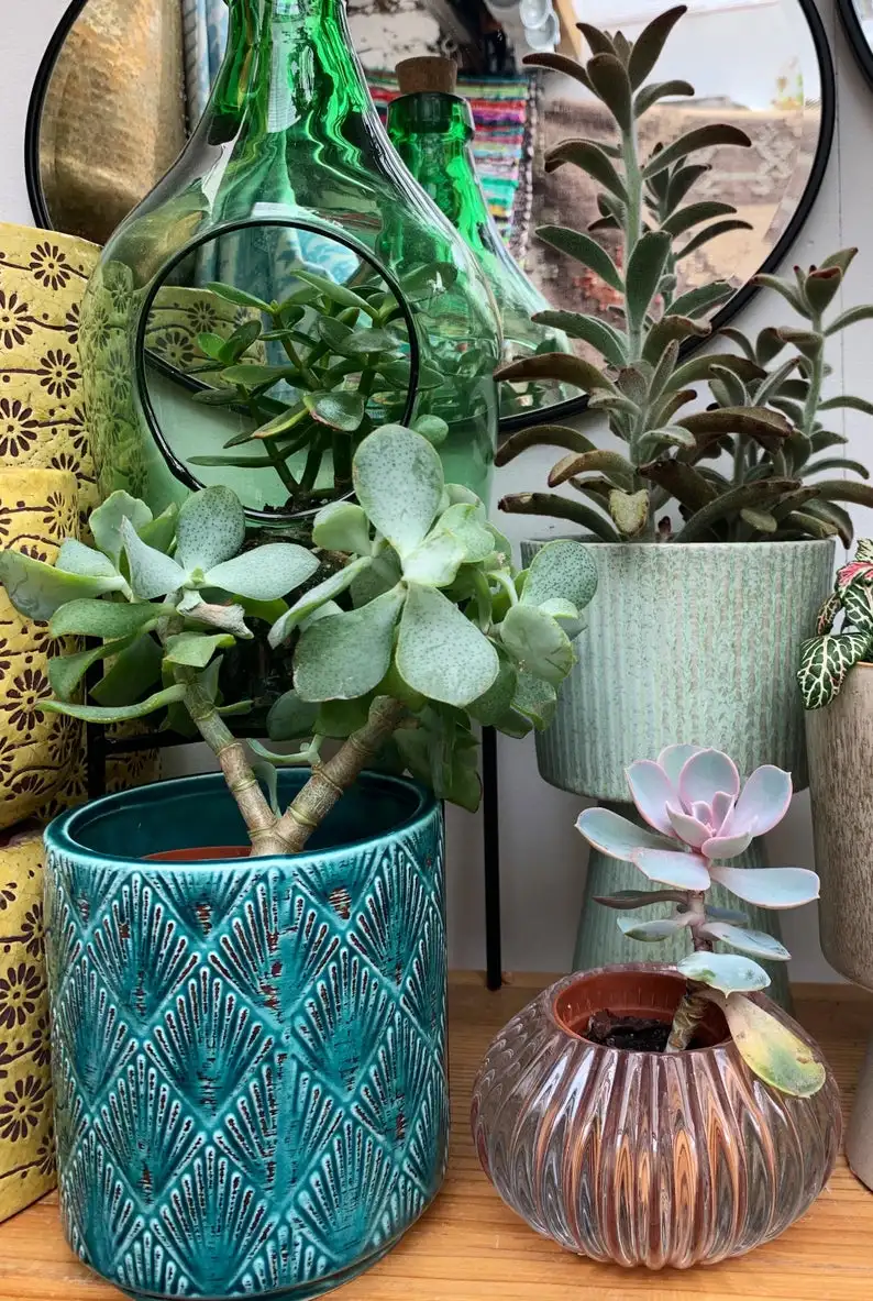 

Deco ceramic plant pot in a deep emerald green