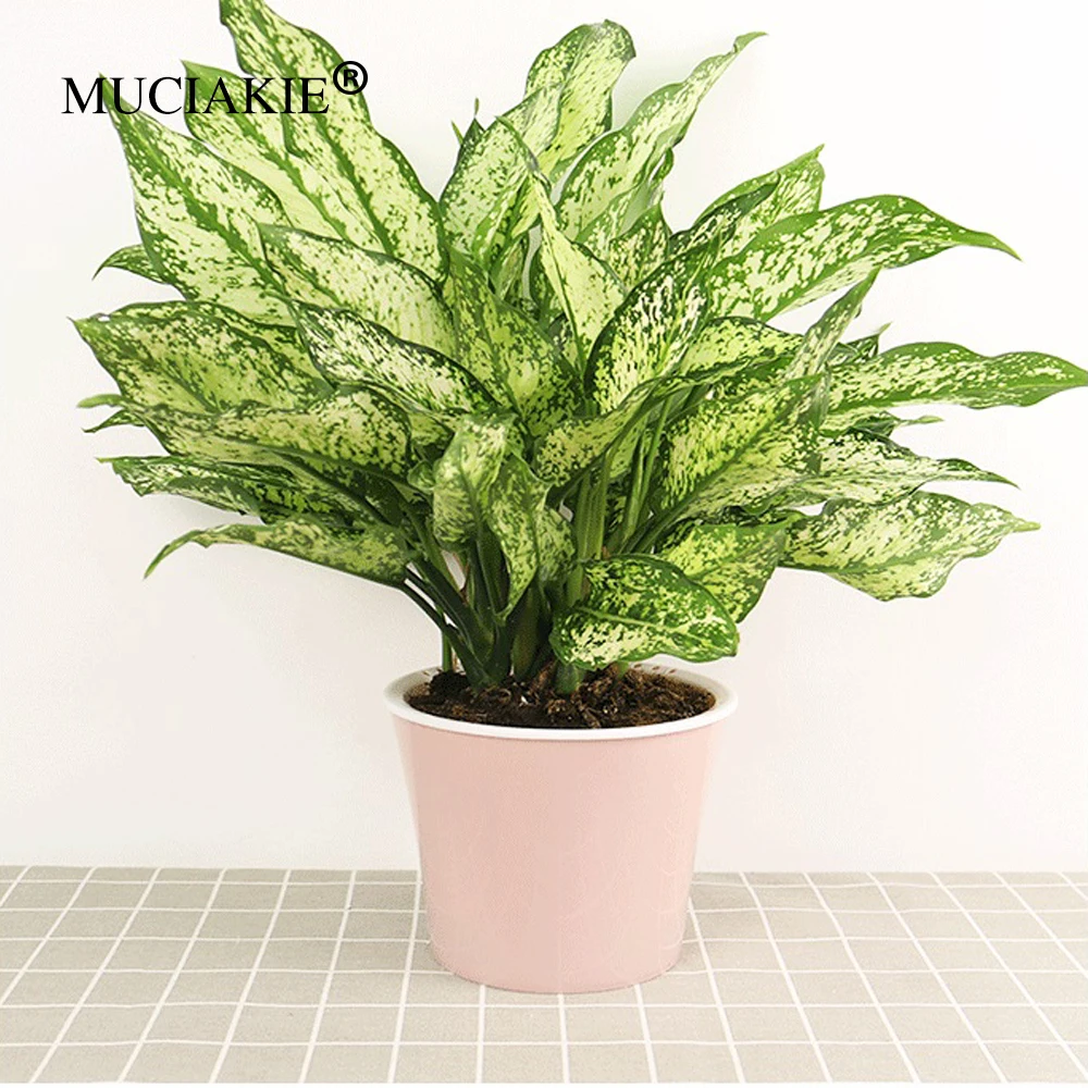 

MUCIAKIE 1PC Automatic Bibulous Lazy Plastic Flowerpot PP Circular Imitation Metal Flowerpot