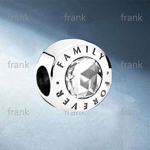 

791884CZ Family Forever Charm