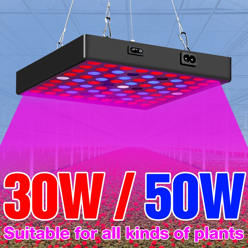 

220V LED Phyto Lamp full spectrum Plant Grow Light LED Indoor Lighting Bombilla LED 30W 50W Flower Seed Growth Box Lampara Bulbs