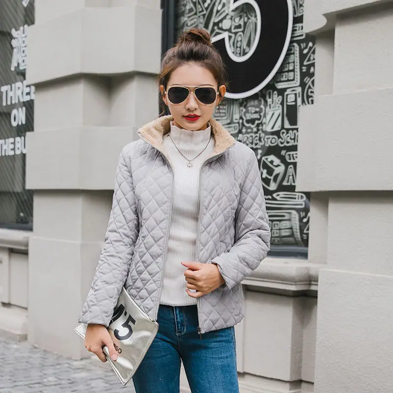 Light Gray Vangull/зимняя флисовая Базовая куртка с длинными рукавами, однотонное Женское пальто, новинка года, с воротником-стойкой, на молнии, повседневная, бархатная верхняя одежда из овечьей шерсти - Цвет: Light Gray