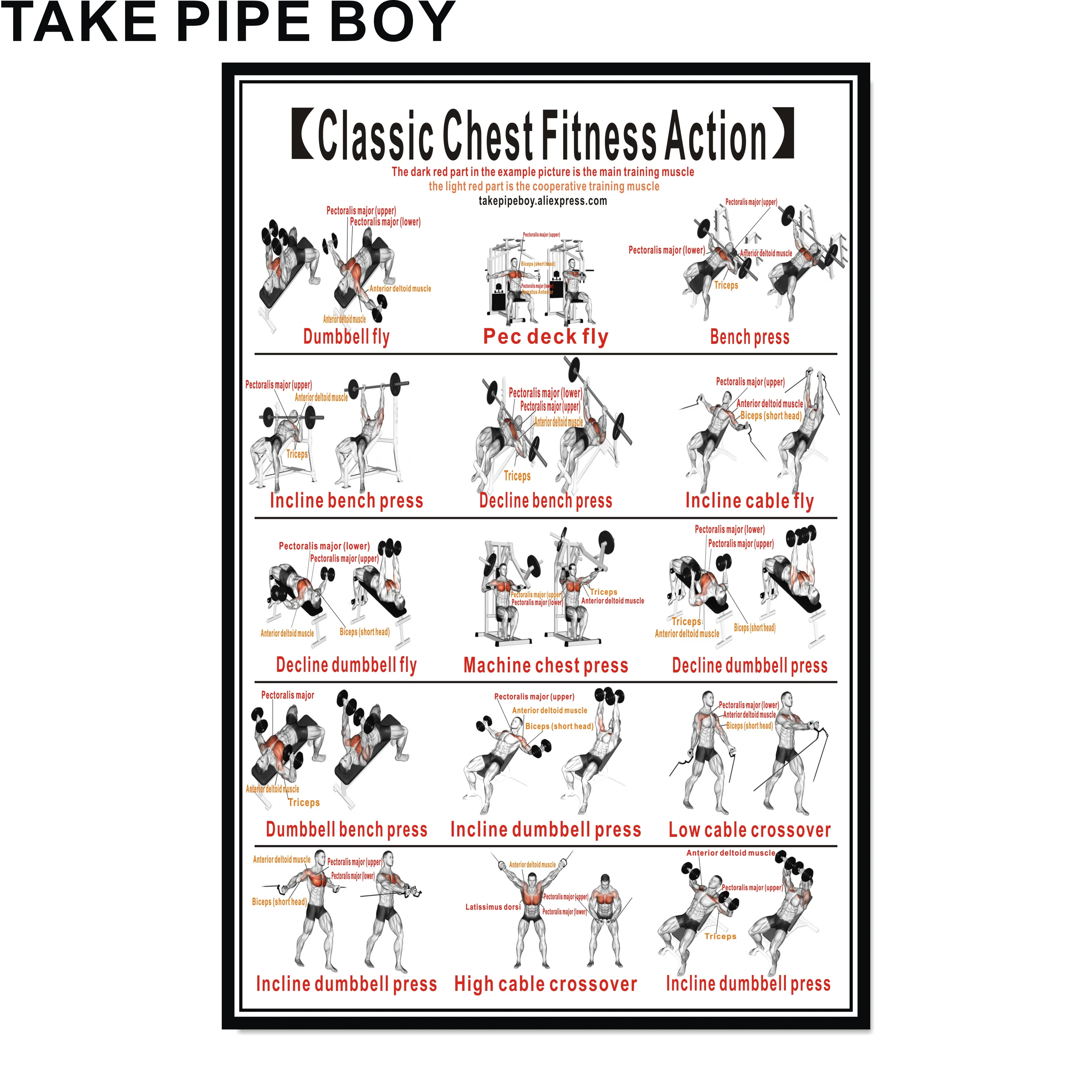 udsultet Uden tvivl Tarmfunktion Workout Posters For Home Gym - Dumbbell Exercise Posters For Chest Workout  - Core, Abs, Legs, Glutes Upper Body Training Program - Painting &  Calligraphy - AliExpress