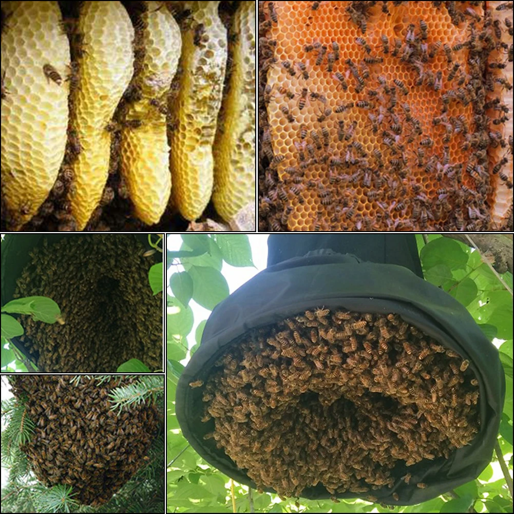 

Swarm Trap Bee Swarming Catcher Honeybee Bee Cage Beekeeping Supplies Beekeeper Catching Tool Garden Supplies