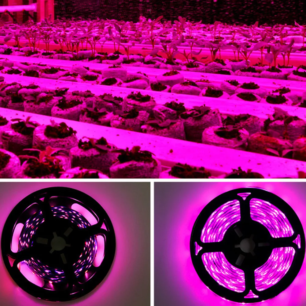 

LED Full Spectrum Phyto Lamp IP65 Waterproof USB 5V Grow Light Strip 2835 SMD Plants Flowers LED Greenhouse Cultivo Hydroponic