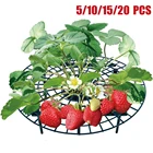 Подставка для растений, 5101520 шт., держатель для клубники, посадка на балконе подставка для фруктов, цветов, вьющихся виноградных столбов, садовая подставка