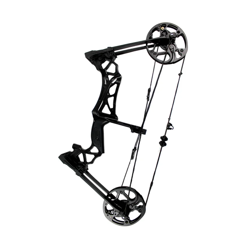 

40-60lbs Compound Bow Steel Ball Composite Bow Hunting Bow For Outdoor Shooting Game Training Bow And Arrow Accessories