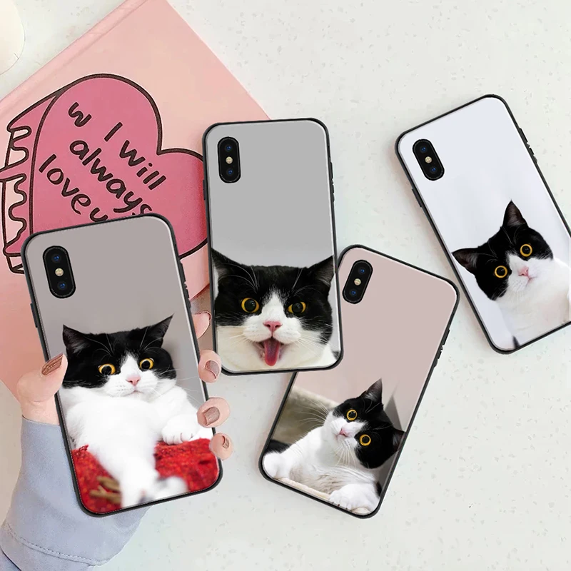 

Phone Case For iPhone X XR XS Max 6 6S 7 8 Plus 11 12 Mini Pro SE 2020 Soft TPU Silicon Back Cover Funda Cute cartoon animal cat