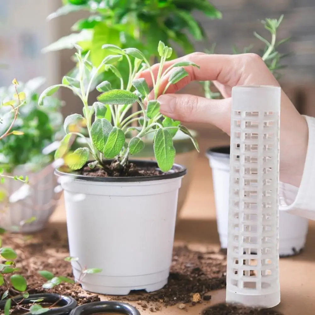 Подъемная палочка для выращивания растений кокосовой пальмы с удобрениями сада |