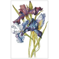 rainbow iris flower patterns counted cross stitch 11ct 14ct 18ct diy chinese cross stitch kits embroidery needlework sets
