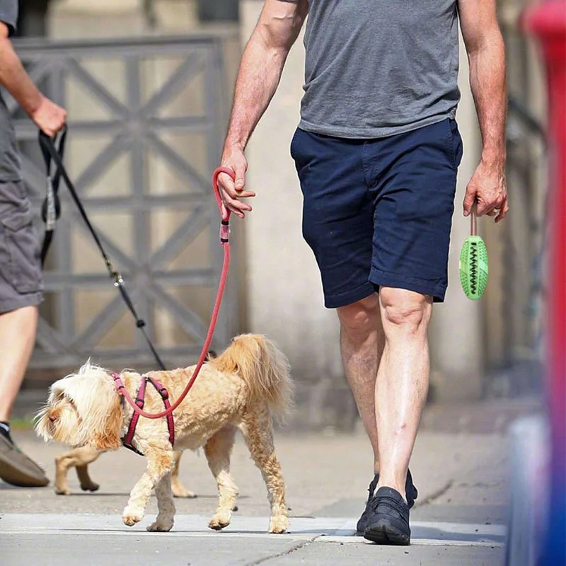 Зубная щетка для собак Жевательная прорезывания зубов у маленьких и больших