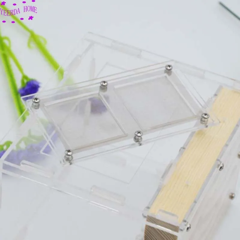 Деревянное Муравьиное гнездо акриловое насекомое вилла мастерская Детская