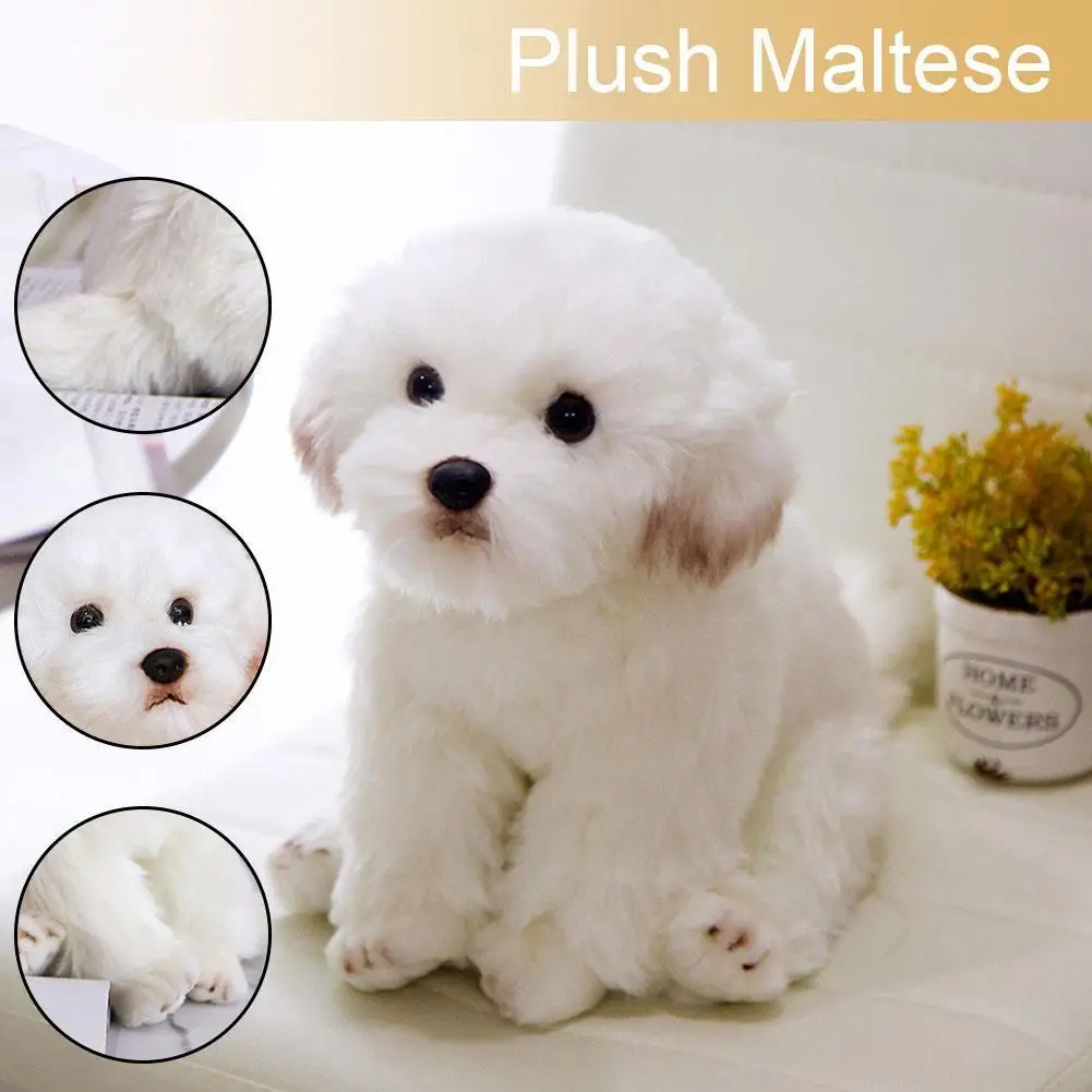 

Simulation Maltese Dog Plush Toy For Home Decor Pet Stuffed Super Gift Quality Animal Lover Schnauzer Toy Realistic High W7G6